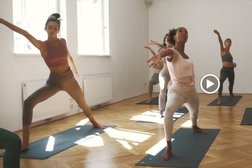 THE WYLD THING Yoga Studio